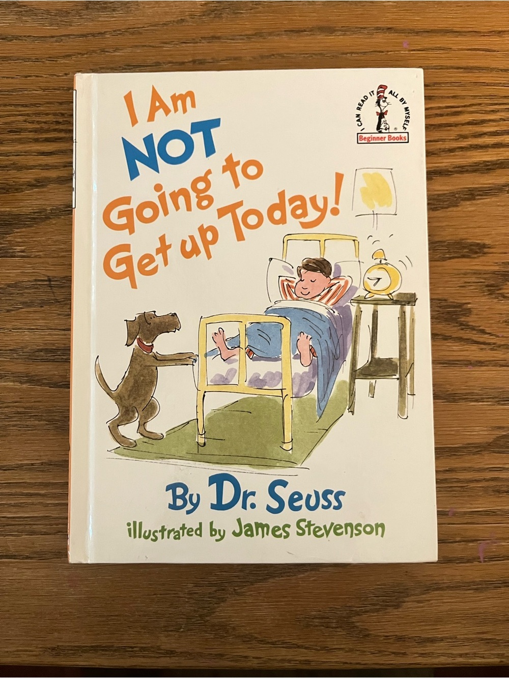 Dr.Suess ‘I Am NOT Going to Get Up Today’ Book 1987 pre-owned